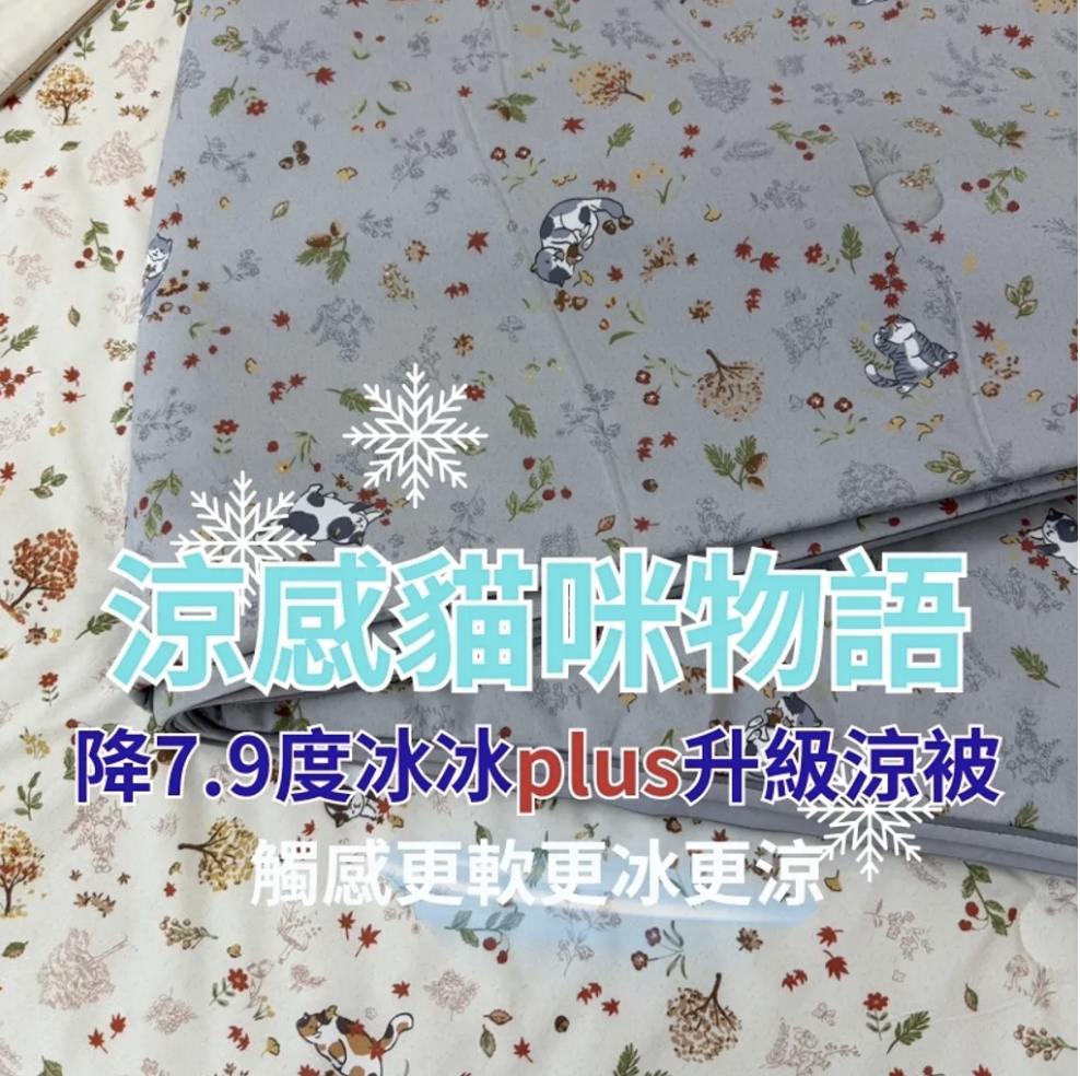 🇰🇷韓國兒童被/成人被 - 涼感貓咪物語