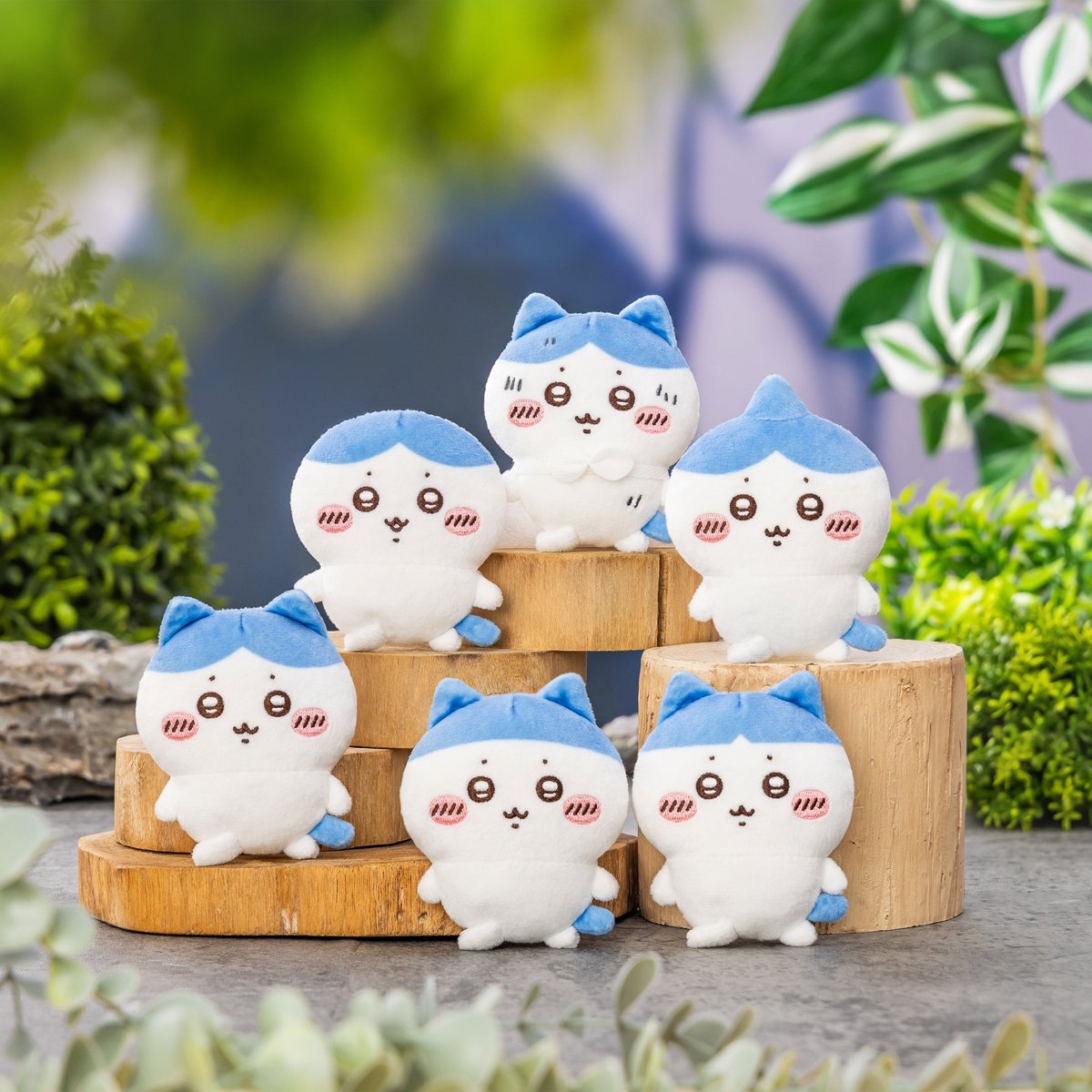 抽日版 chiikawa小八一番賞  《3月1晚上11點截單》