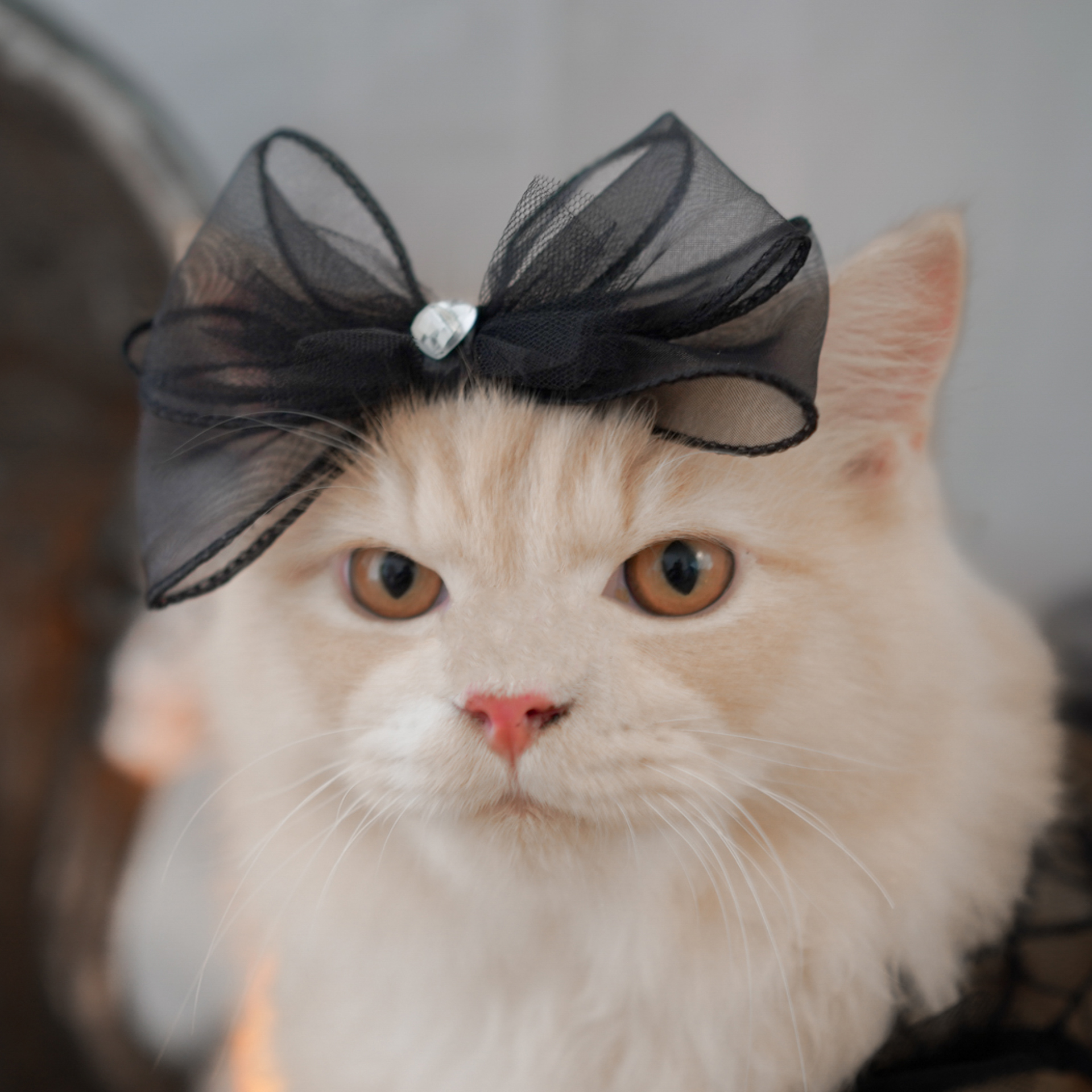 🎃Haunted Castle – Scarlet Heart Hairpin