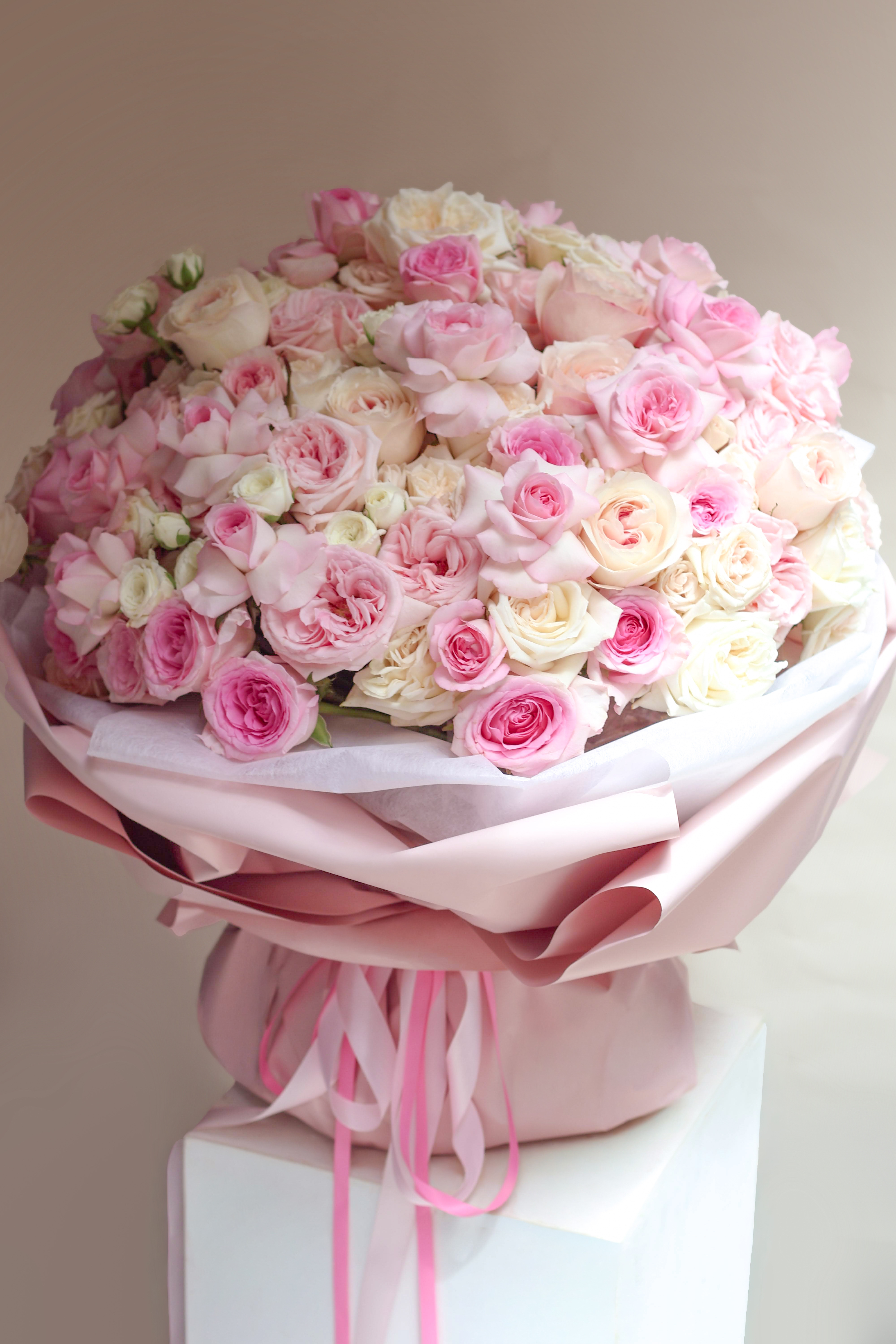 Nid de Rose