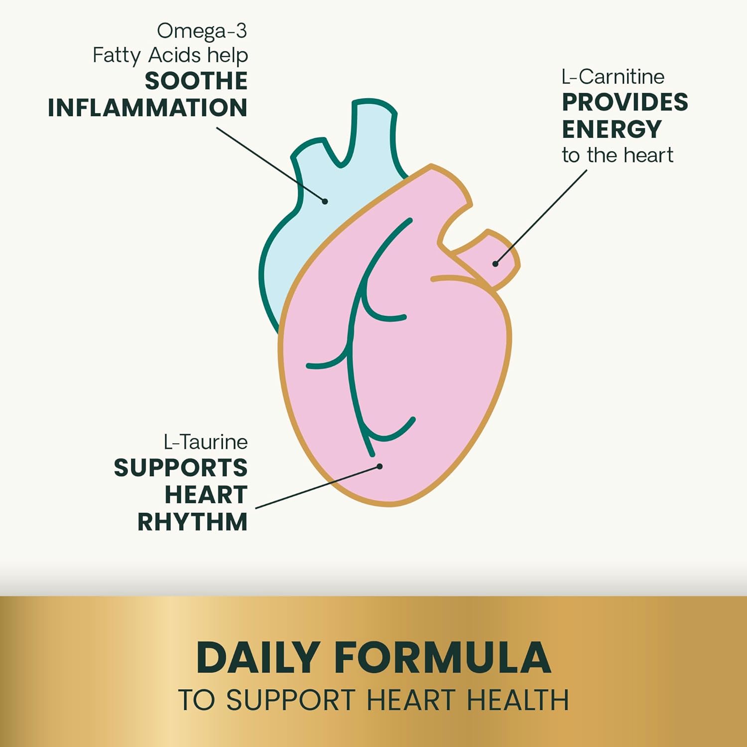 VetriScience Cardio Strength心臟支援補充膠囊  