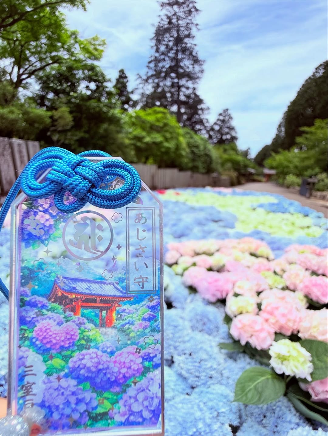 《Pre-Order》亞克力繡球花御守 アクリルあじさい御守り｜三室戶寺