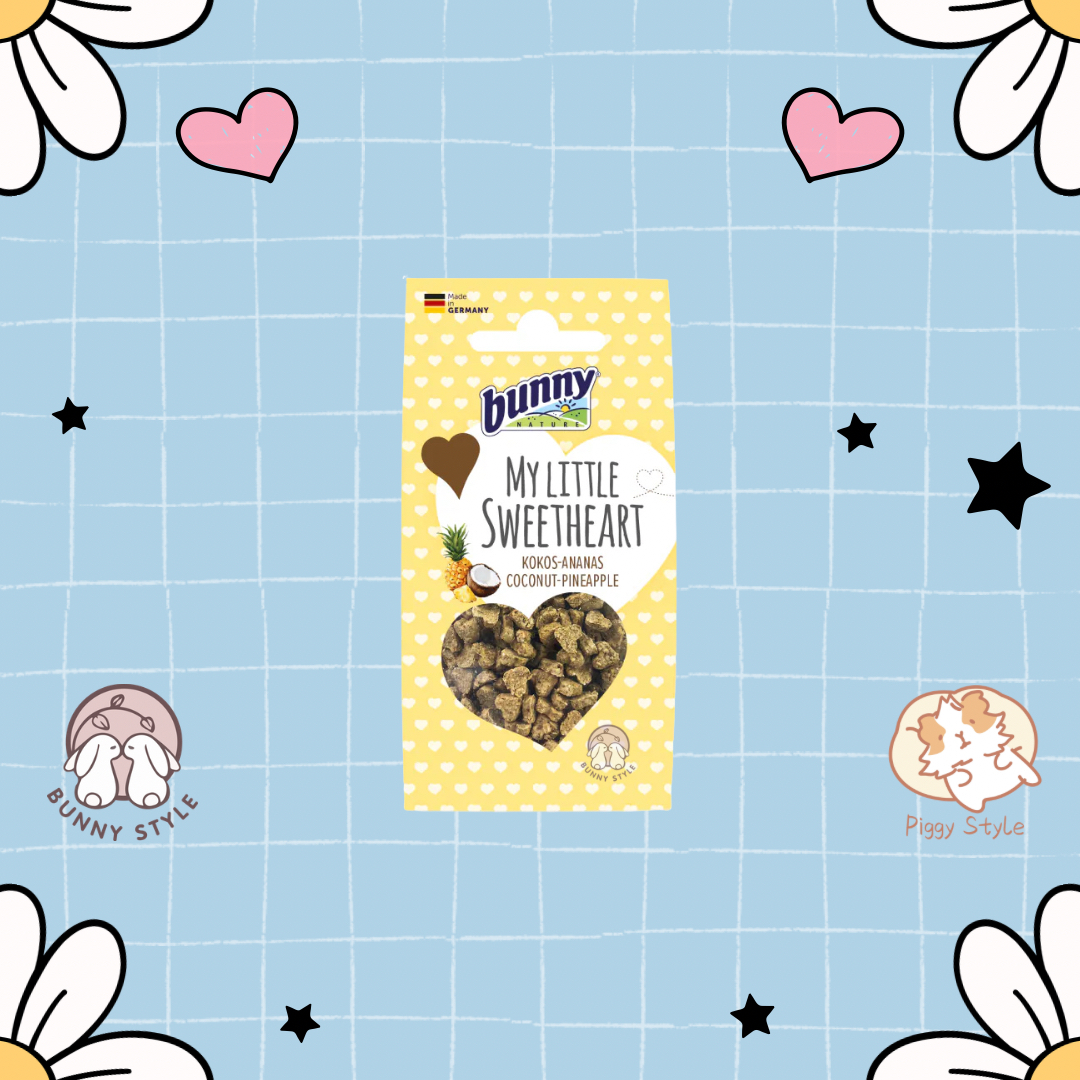 Bunny Nature 椰子菠蘿小食 - 30g