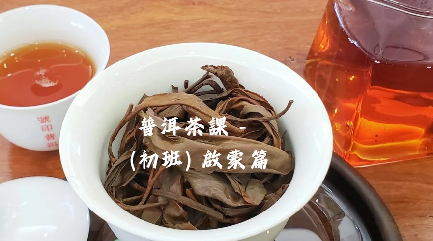 一天課 - 普洱茶(初班) ＝＞啟蒙篇 / 尋寶篇” 懂得選擇合適您的好茶” (4人成班)