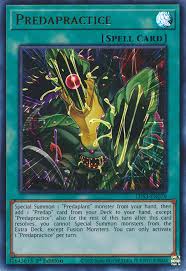 CR11-AE050 Predapractice(捕食活動)