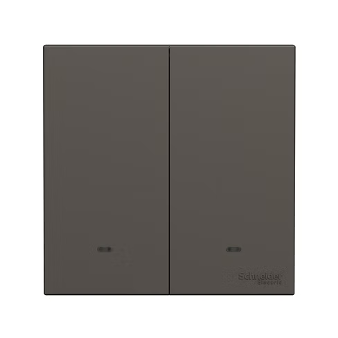 施耐德 奐然AvatarOn C 石墨灰 2位單控 開關掣