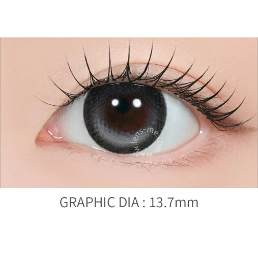 LENSME - Gleam Edge Bold Gray (1day/10P)