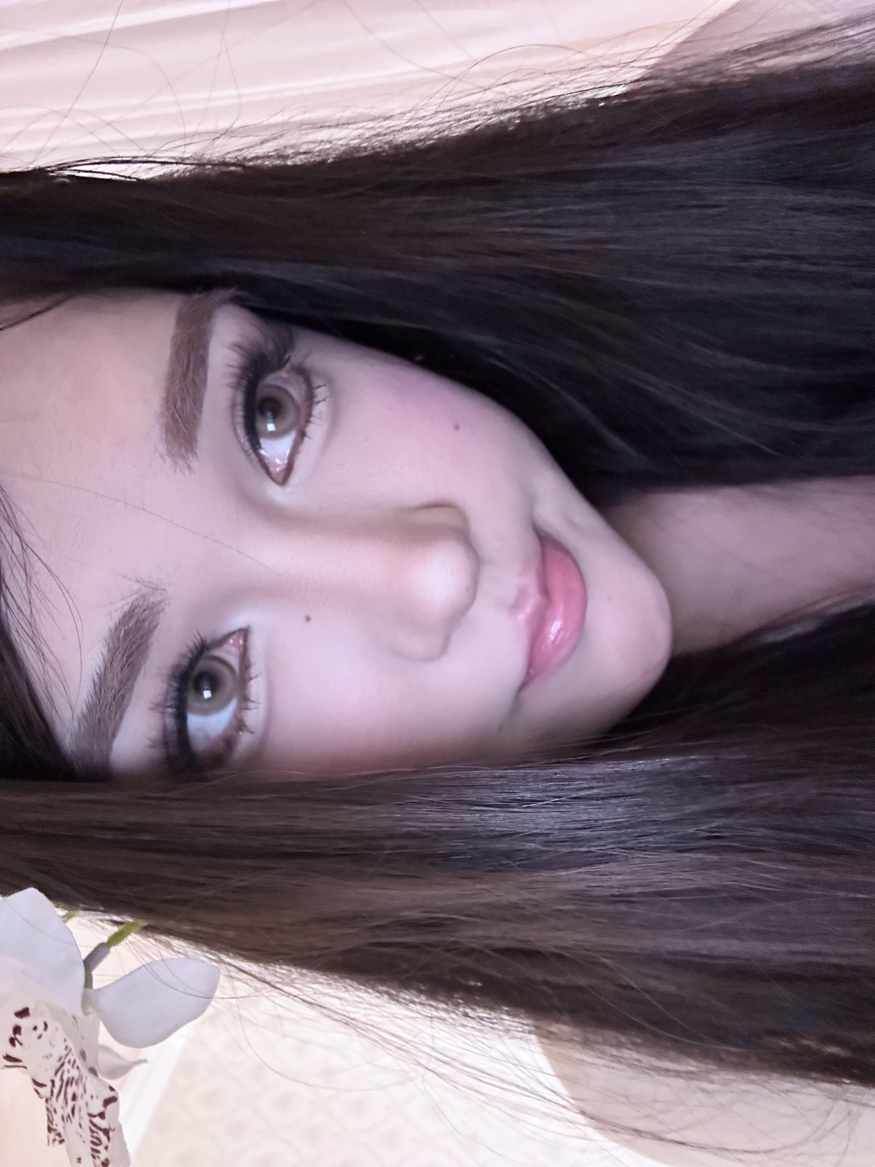 Serltyca 日拋6片裝 青木米灰/青木淺駝