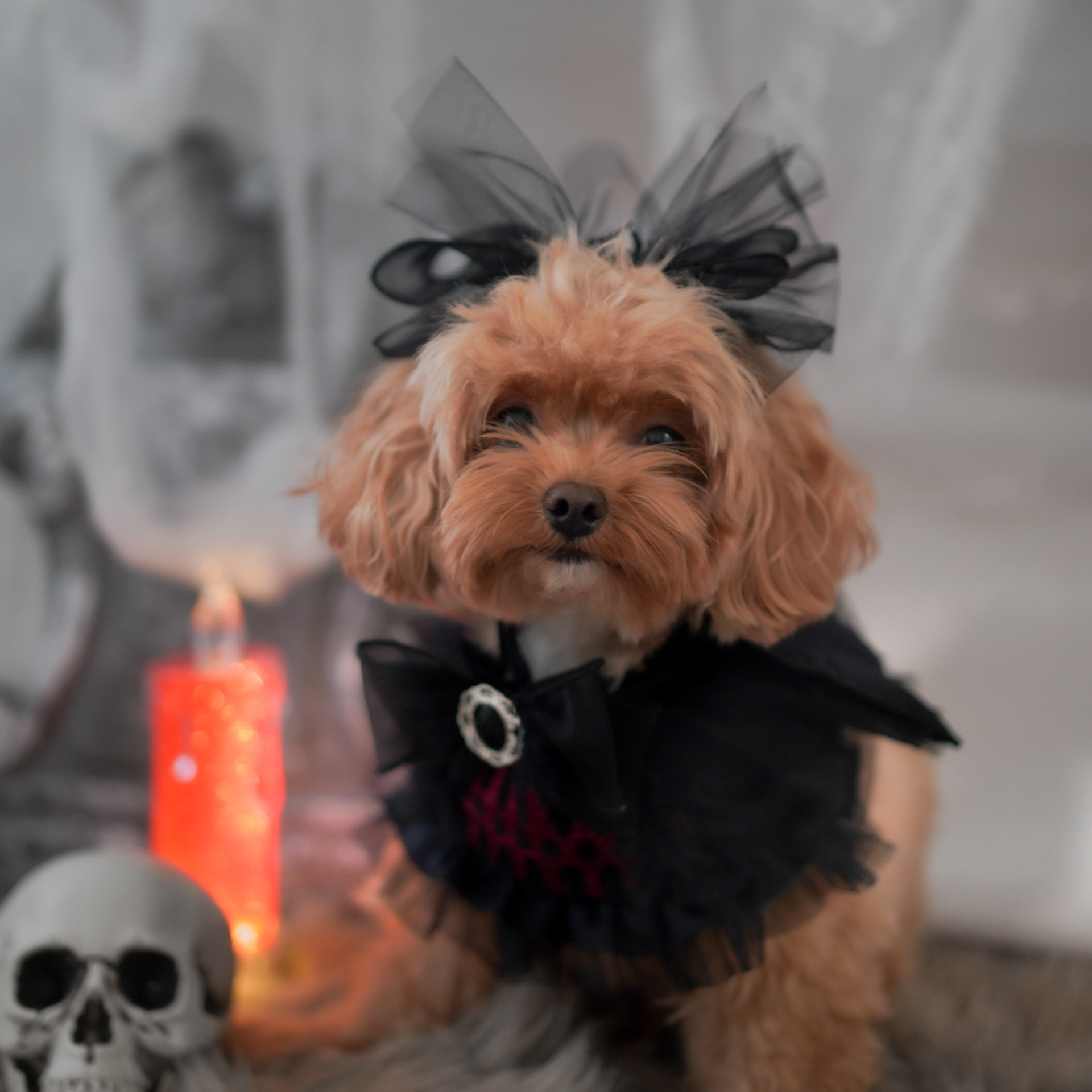 🎃Haunted Castle – Spider Headband