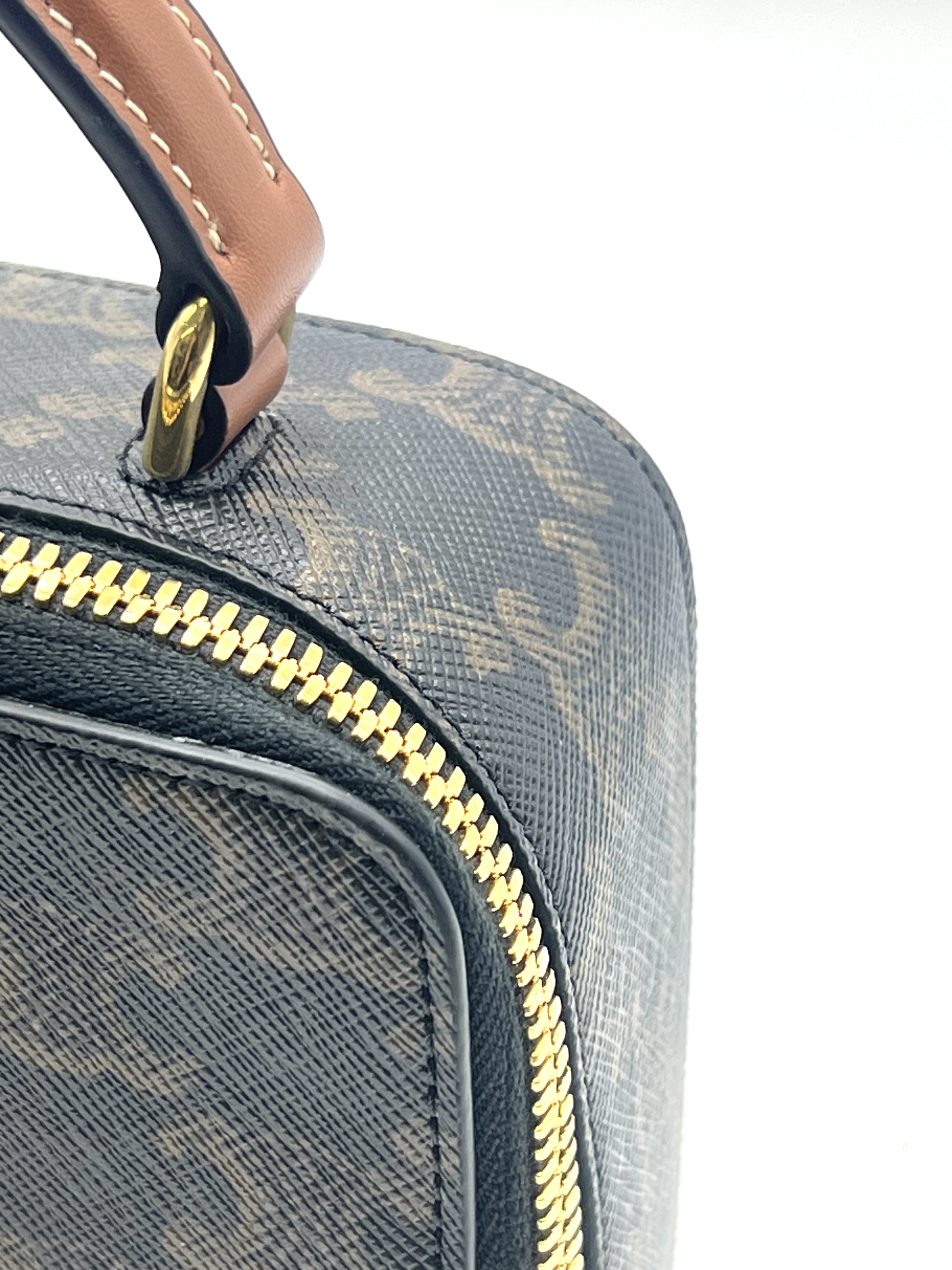 Pre-Owned CELINE Triomphe Vanity Case / Product Code: 26051704