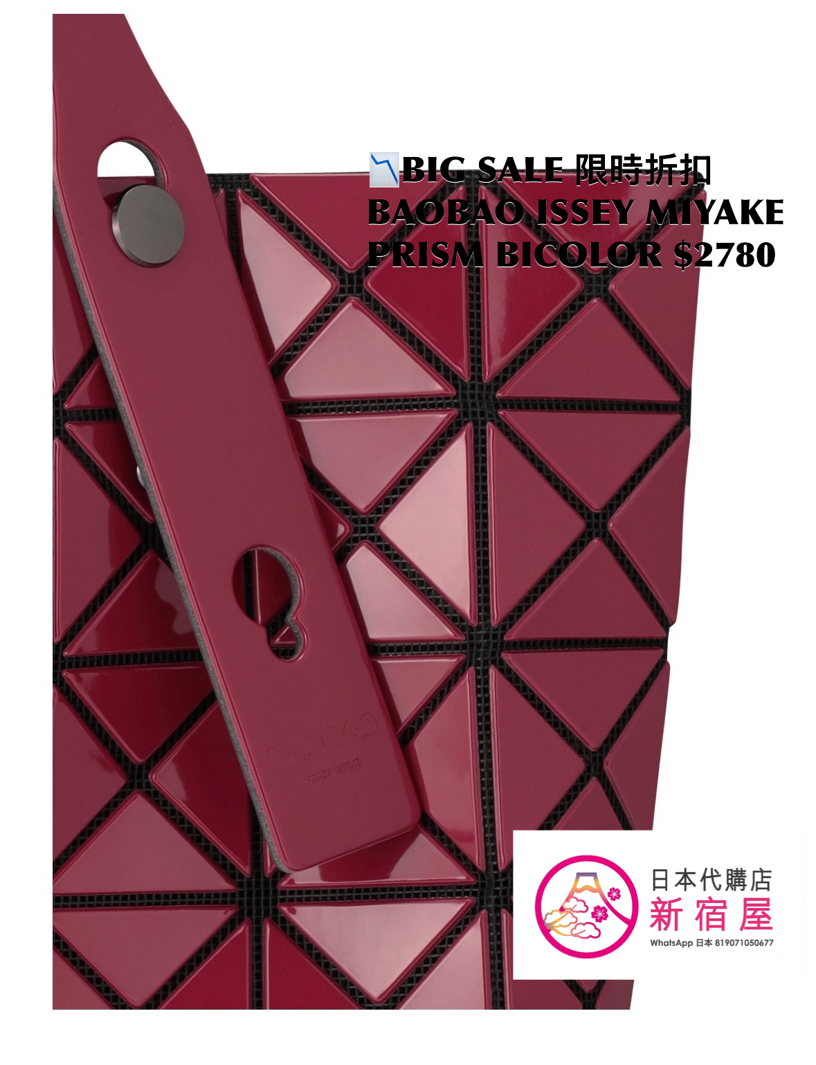 BAOBAO ISSEY MIYAKE 10x10 PRISM BICOLOR