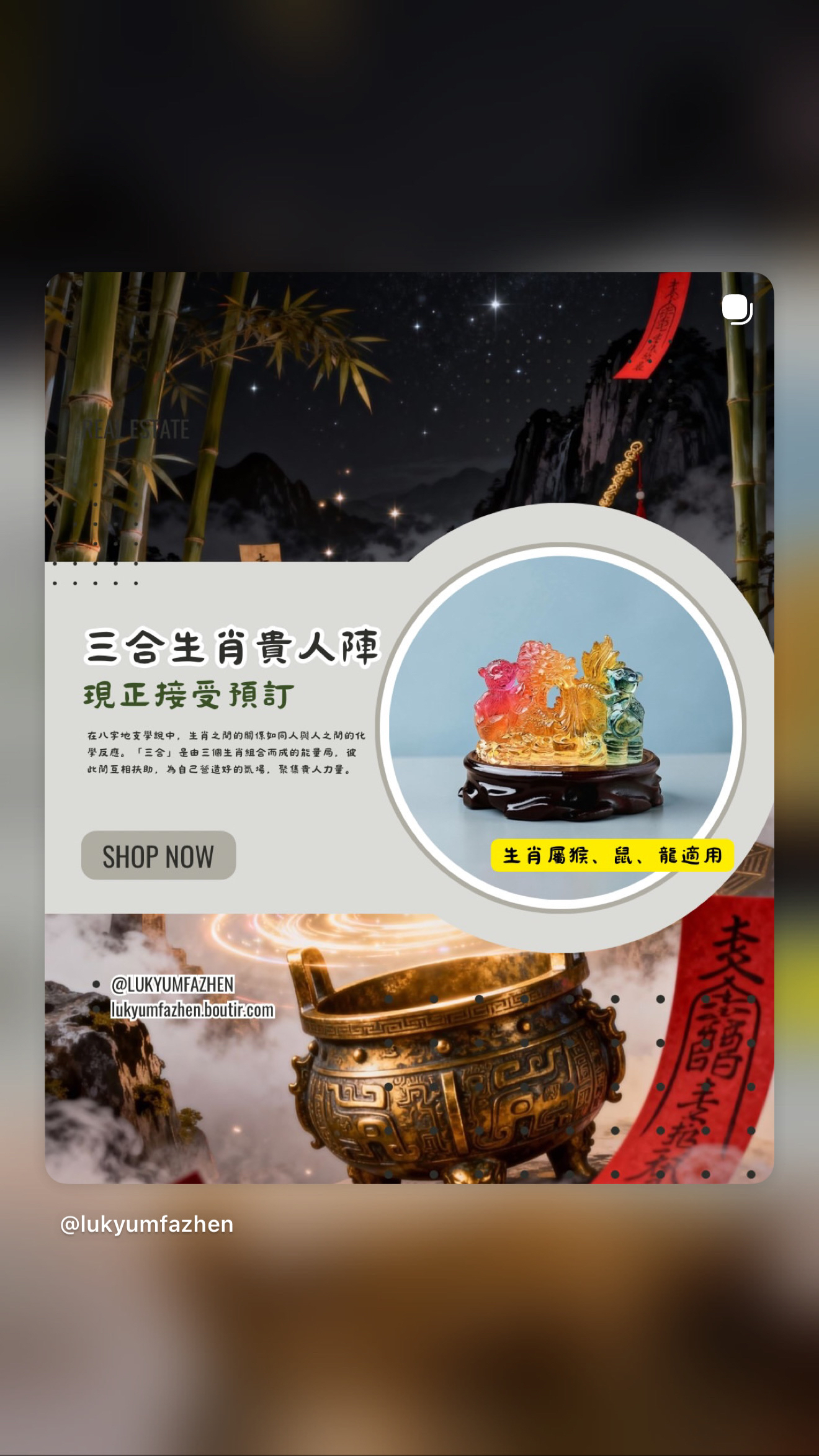 ［預訂］🔮☯️三合生肖貴人陣☯️🔮