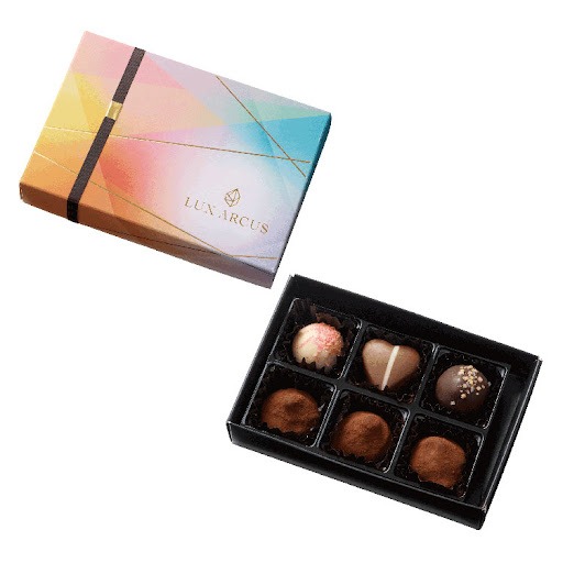 日本直送🇯🇵比利時風格高級朱古力禮盒🍫💎｜ルクス・アルクス LUX ARCUS トリュフ＆ショコラ 6粒入 - 743-061