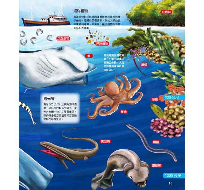 螢火蟲 繽紛多彩的海洋世界