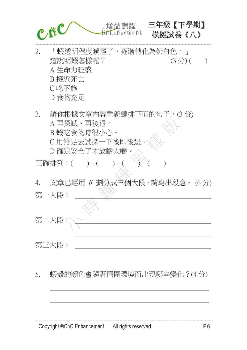  模擬試卷 (三年級)