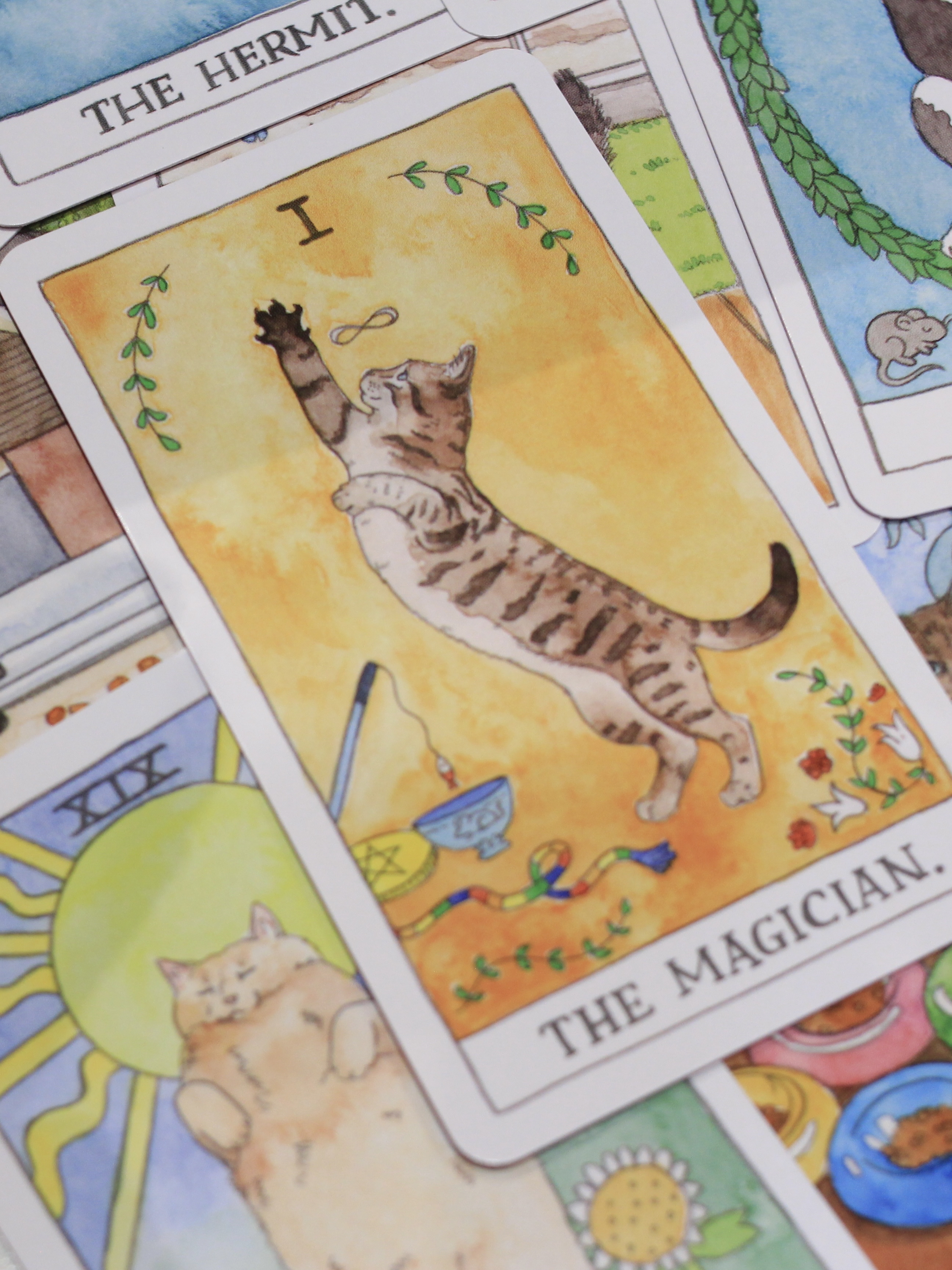 Cat Tarot 貓貓塔羅牌