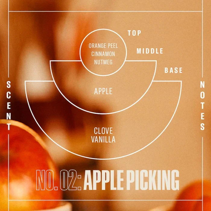 Limited｜Apple Picking Soy Candle 7.2 oz 蘋果肉桂大豆香薰蠟燭