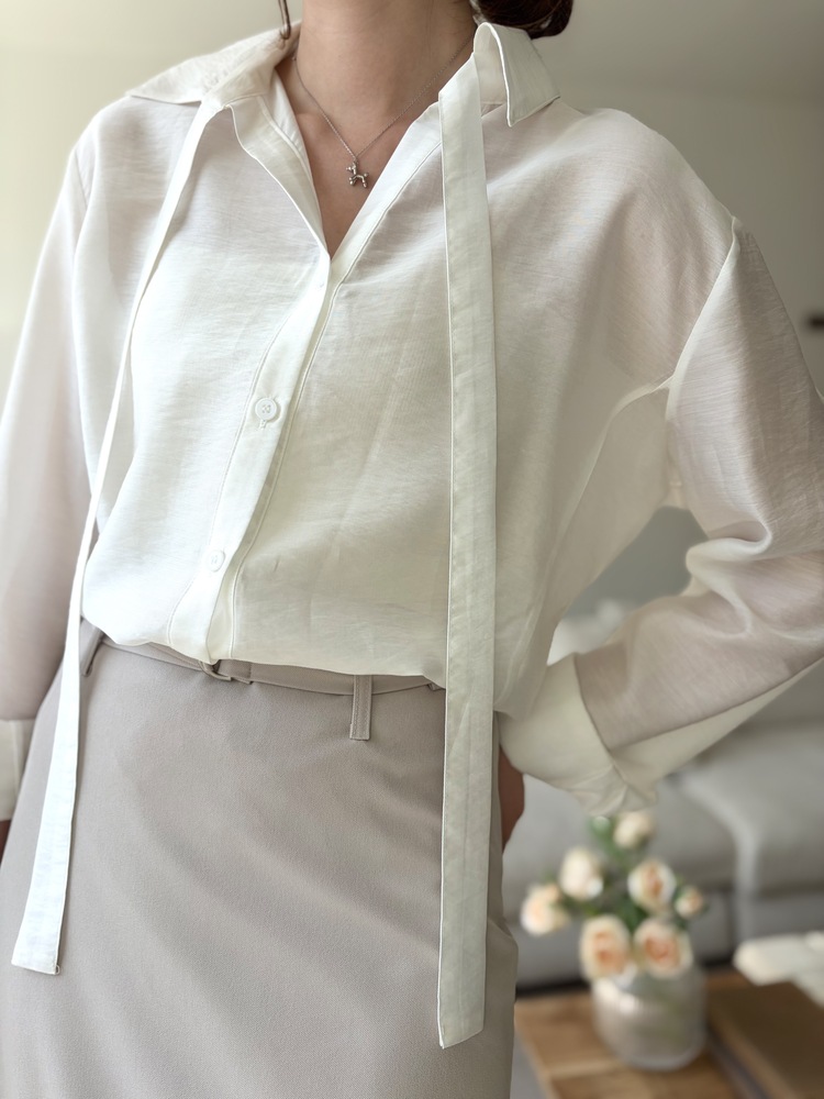 Tie Detail Sheer Blouse (Ivory)