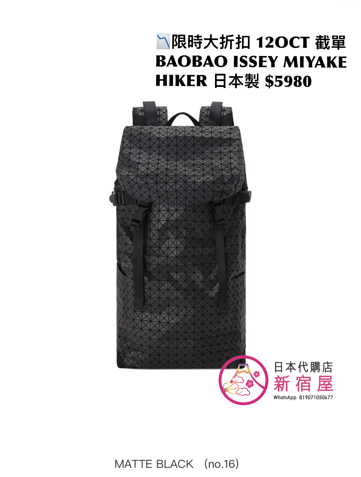 BAOBAO ISSEY MIYAKE HIKER