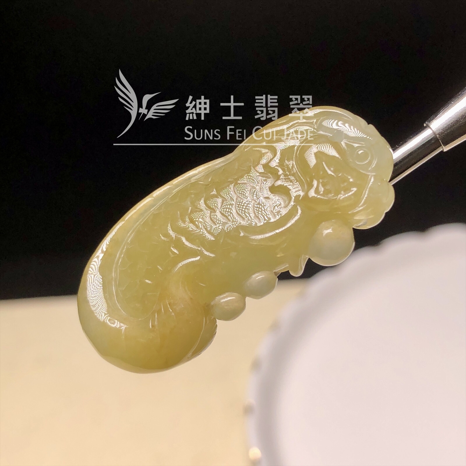 B07377 冰黃龍魚