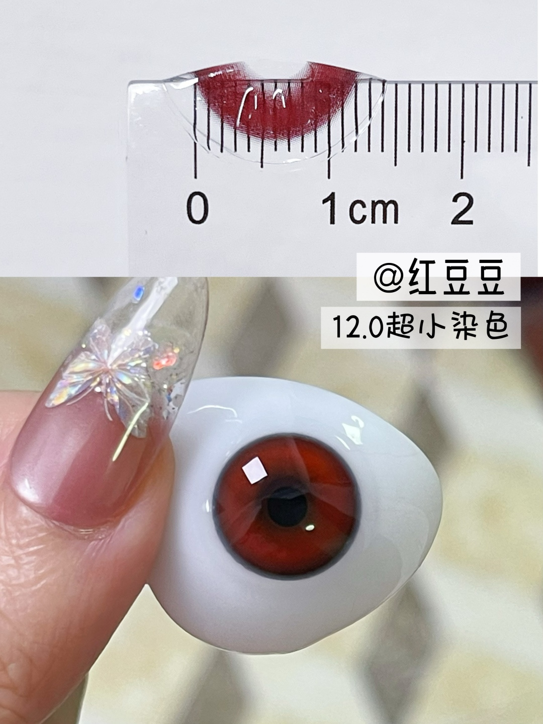 Dgugulens 日拋 豆豆系列