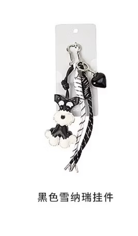 Boys Bag Accessories 