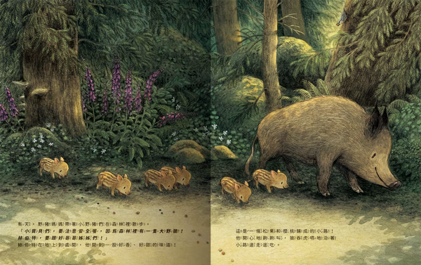 小野豬迷路了