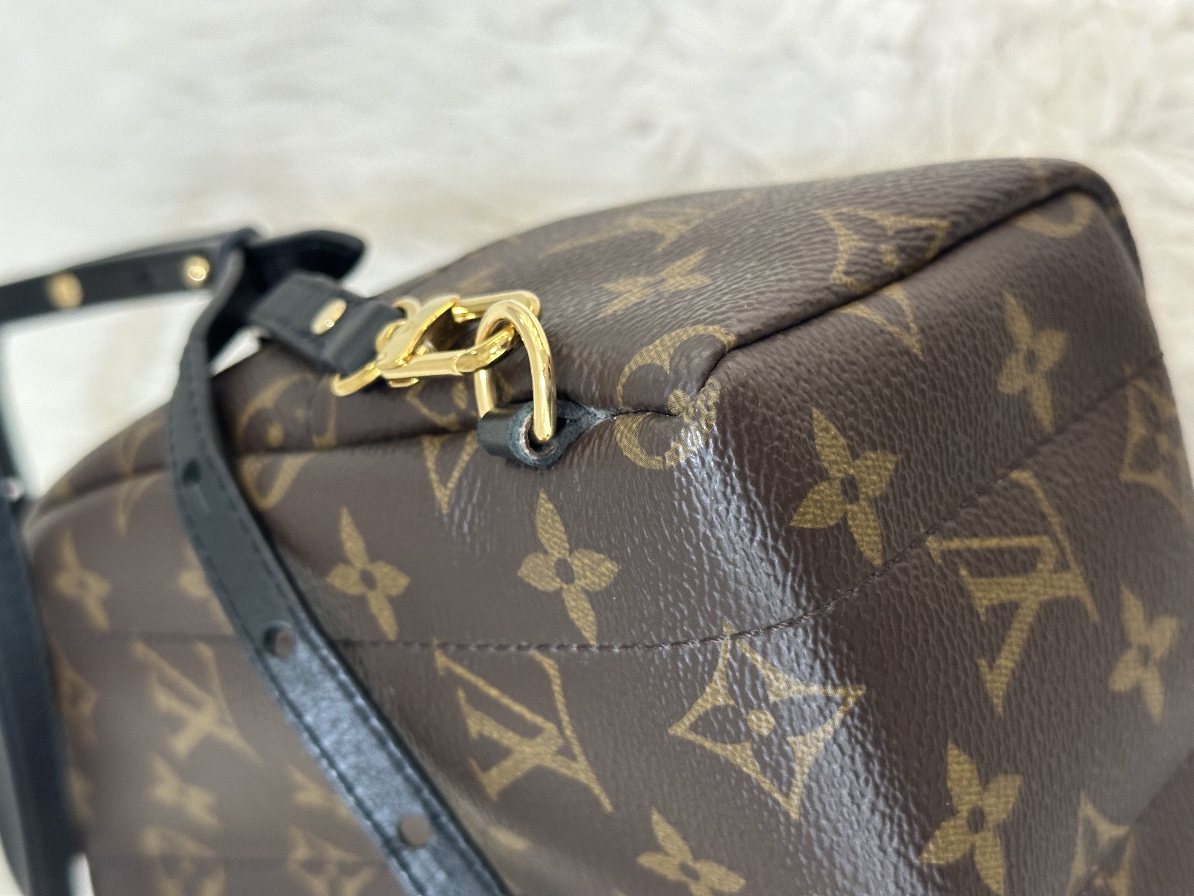Pre-owned Louis Vuitton Monogram Palm Springs Backpack /26NY10