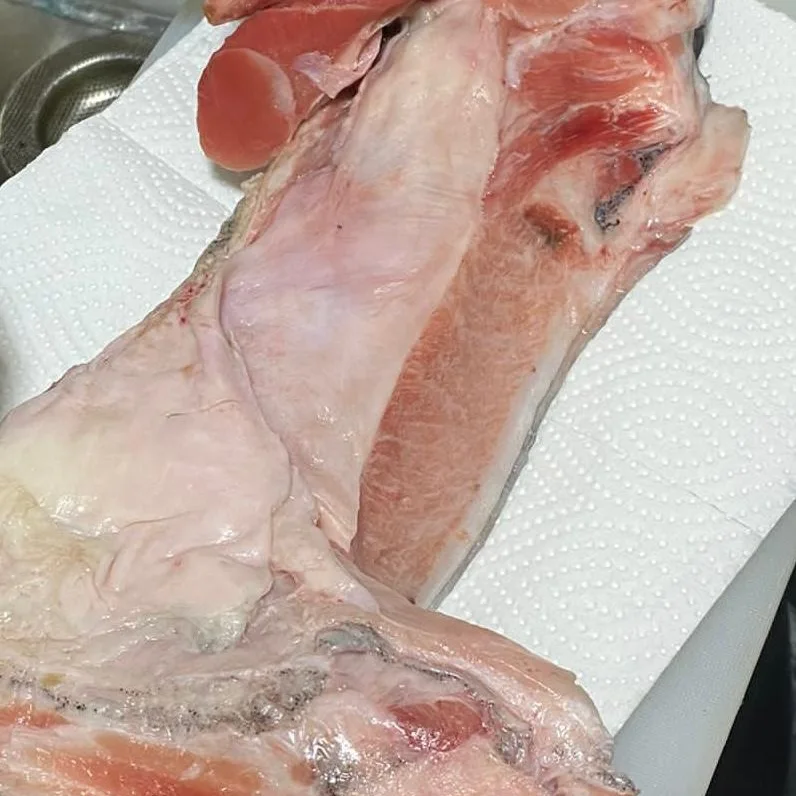 🇯🇵日本直送冰鮮藍鰭拖羅魚鮫🐟🍣🍶