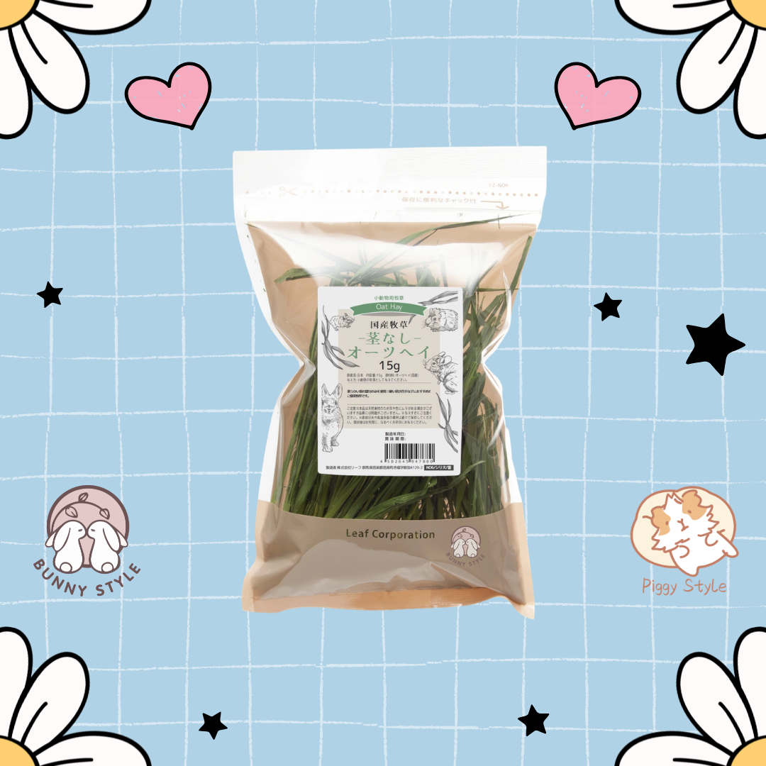 日本Leaf Corp 國產燕麥葉20g