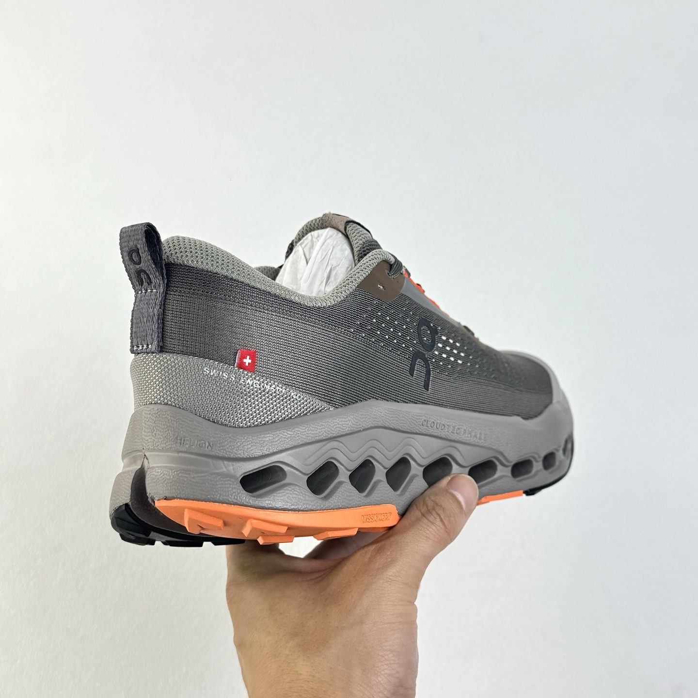 On Cloudsurfer Trail 2