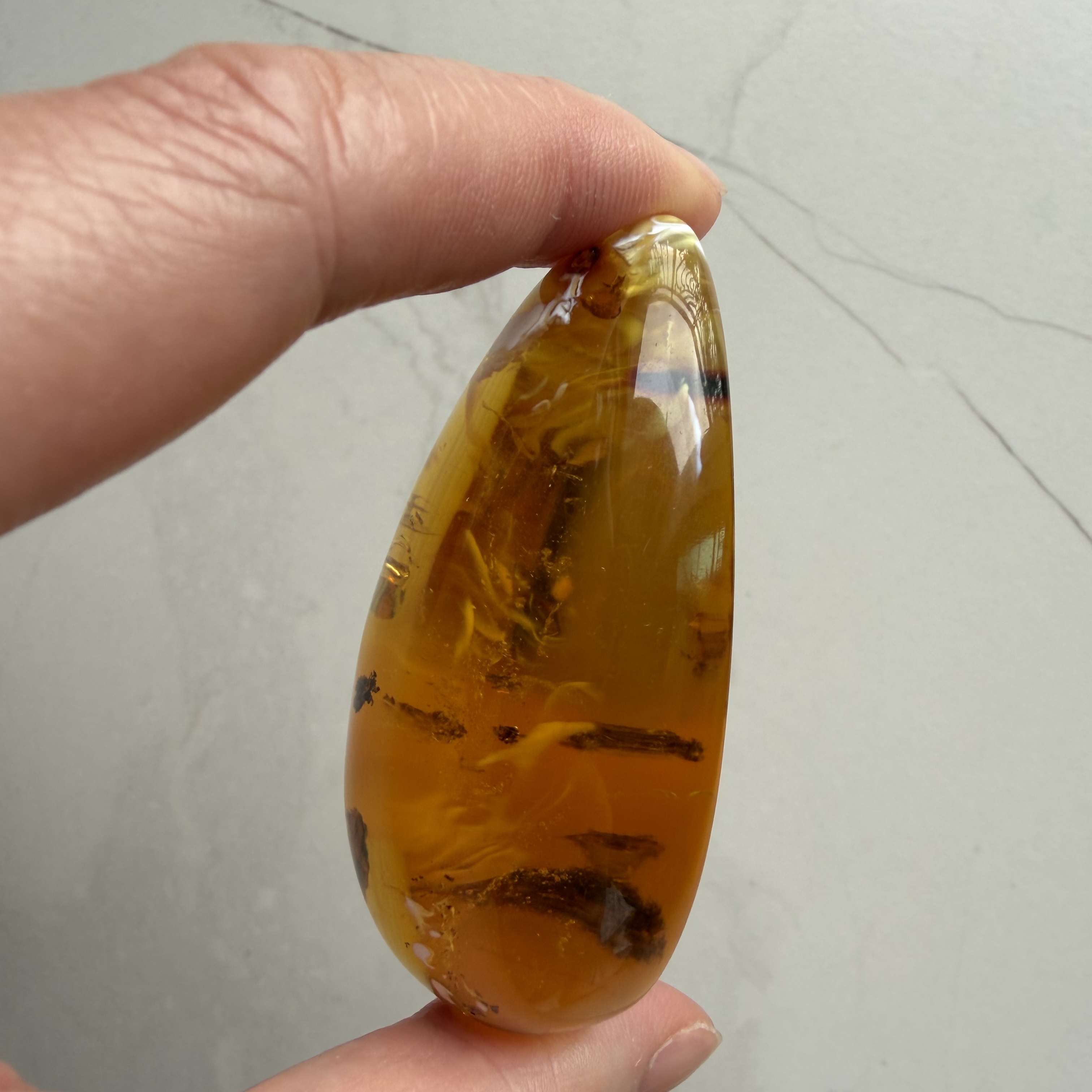 ［閉店一口價］波羅的海金瓷白熒光植物意境珀