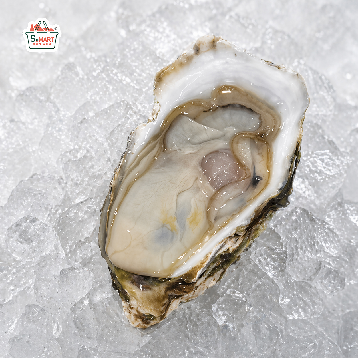 半殼生蠔-6隻裝 750g±