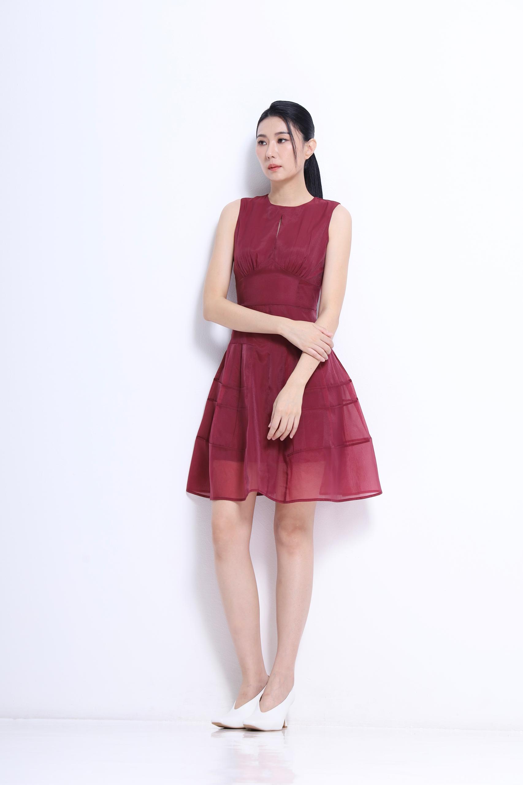 CD2151 Organza Sculpted Waist A-Line Dress