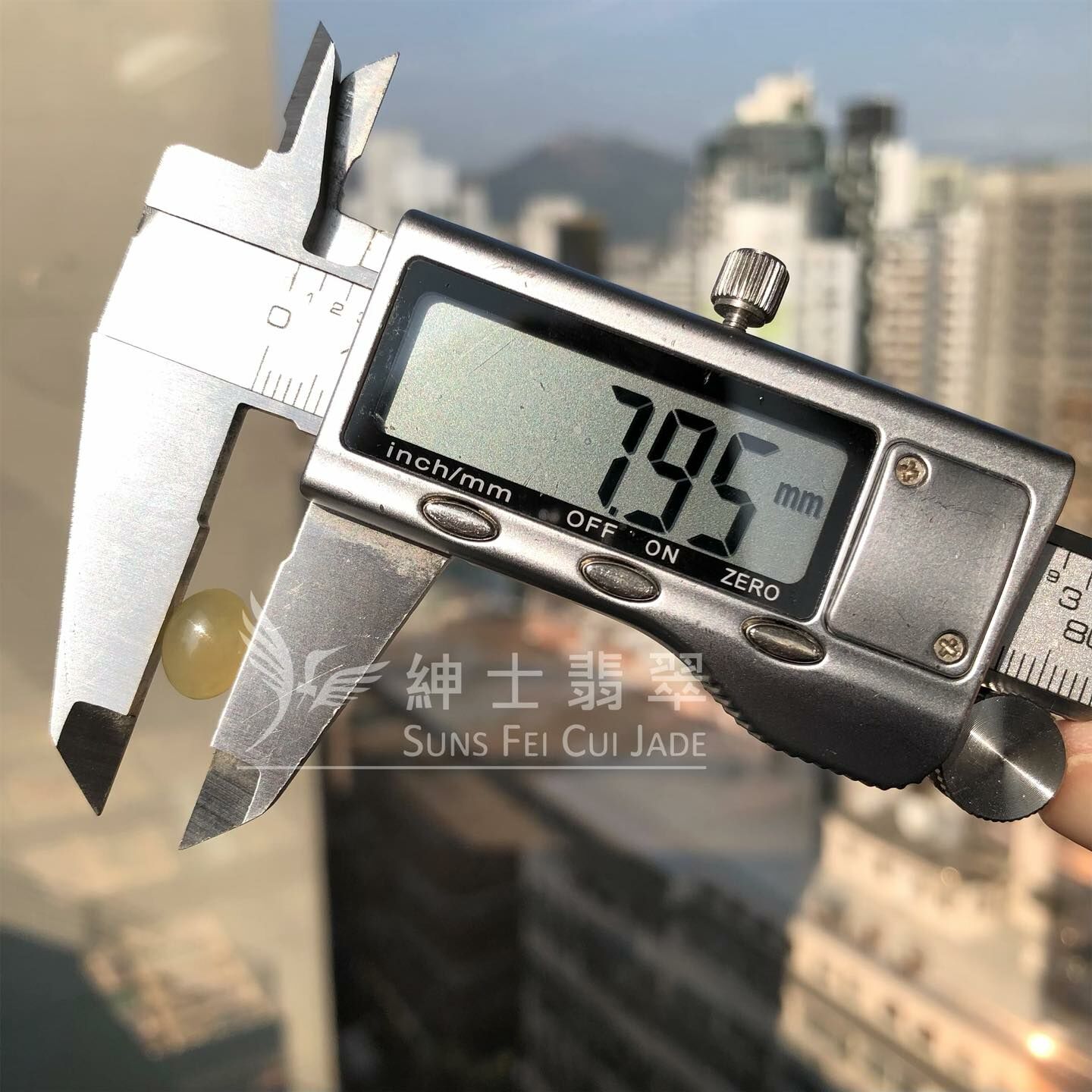 莫西沙冰檸檬黃蛋面