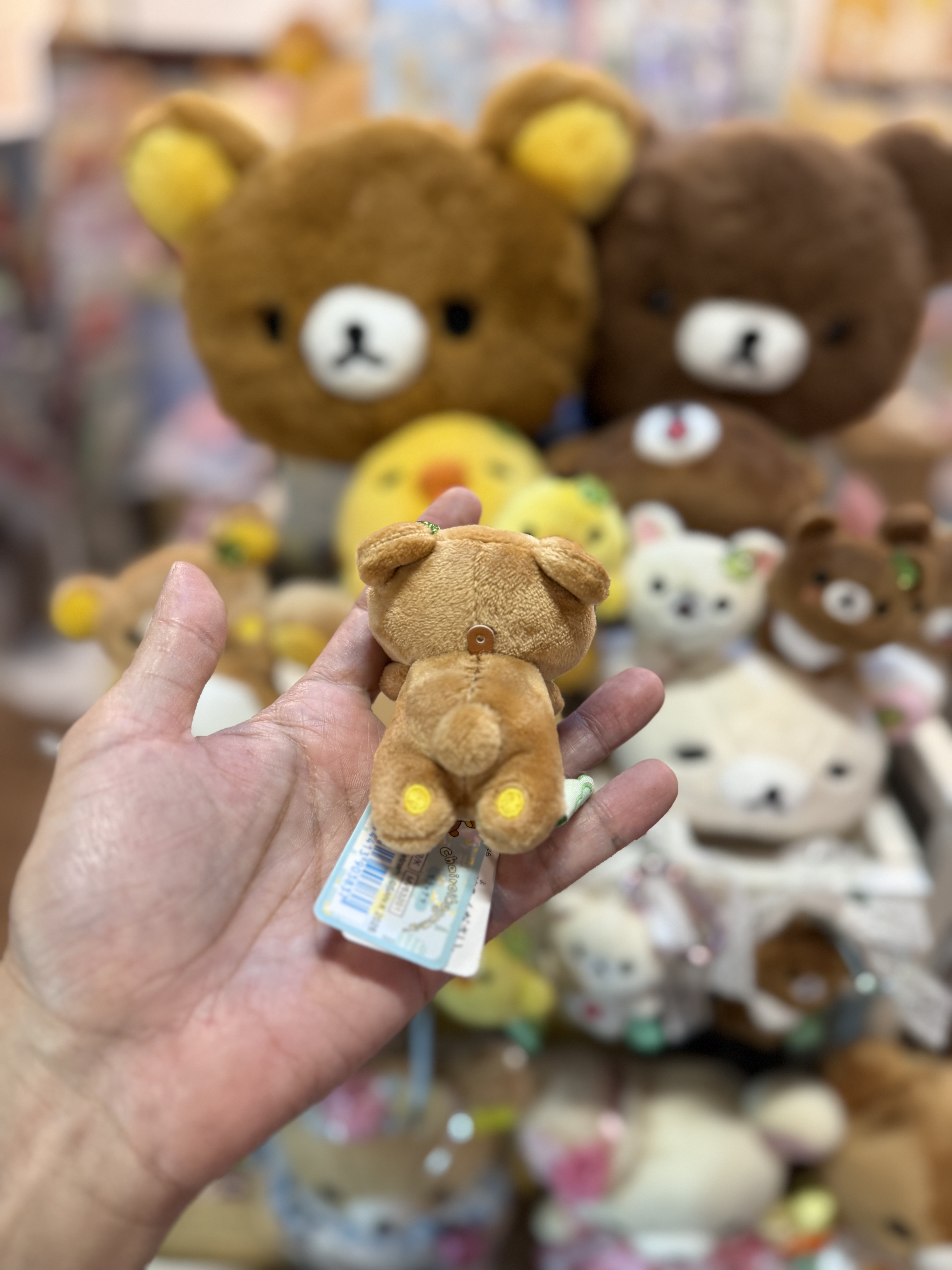 《現貨》全新小熊10週年紀念四葉草系列趴地手玉公仔