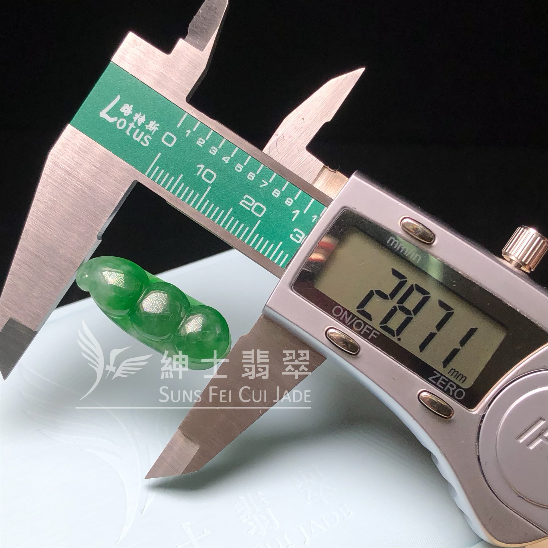 B08979 滿色福豆