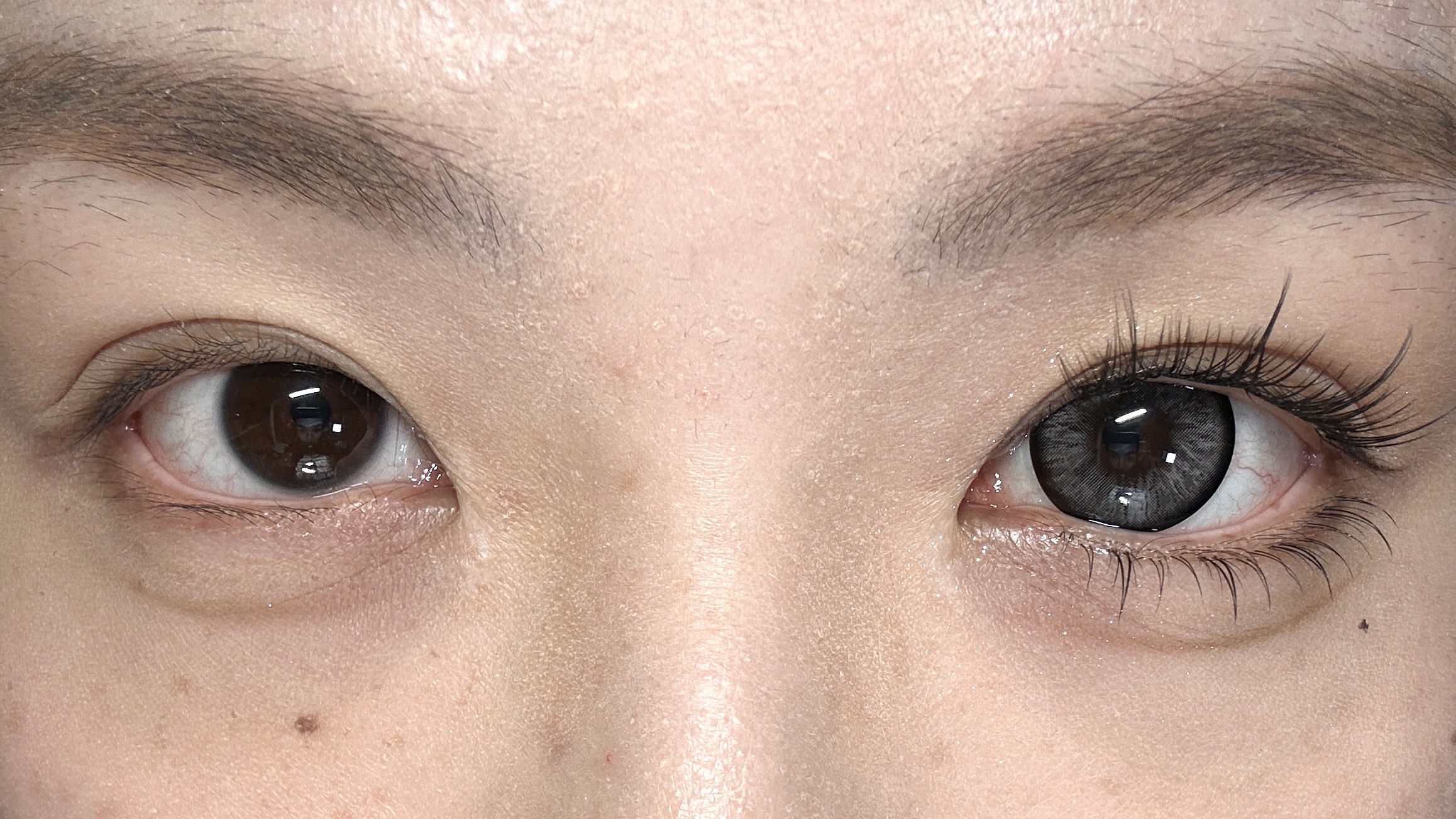 Macycon 月拋 穿越時空/極地冒險/未來之瞳