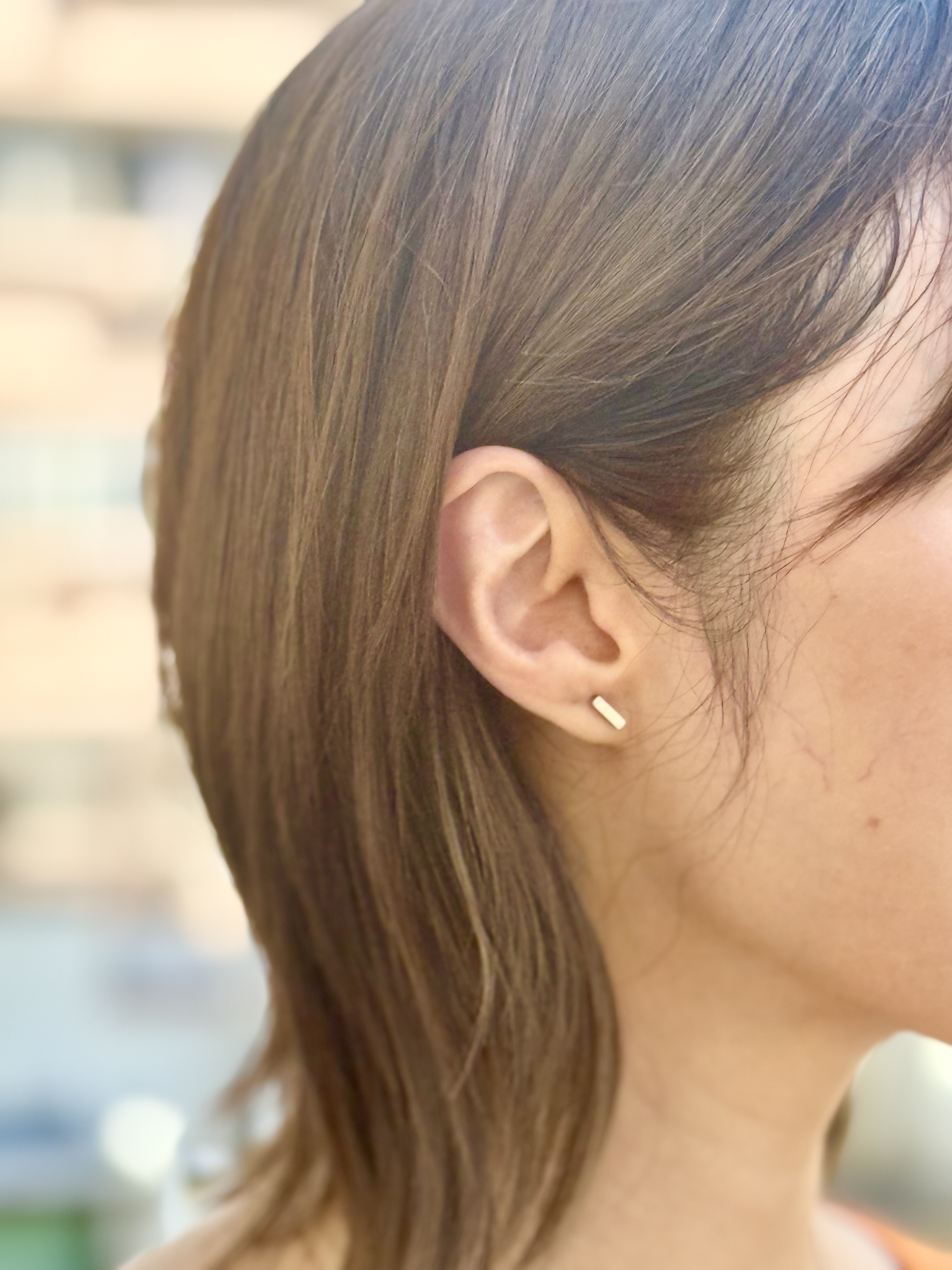Sliver line stainless earring