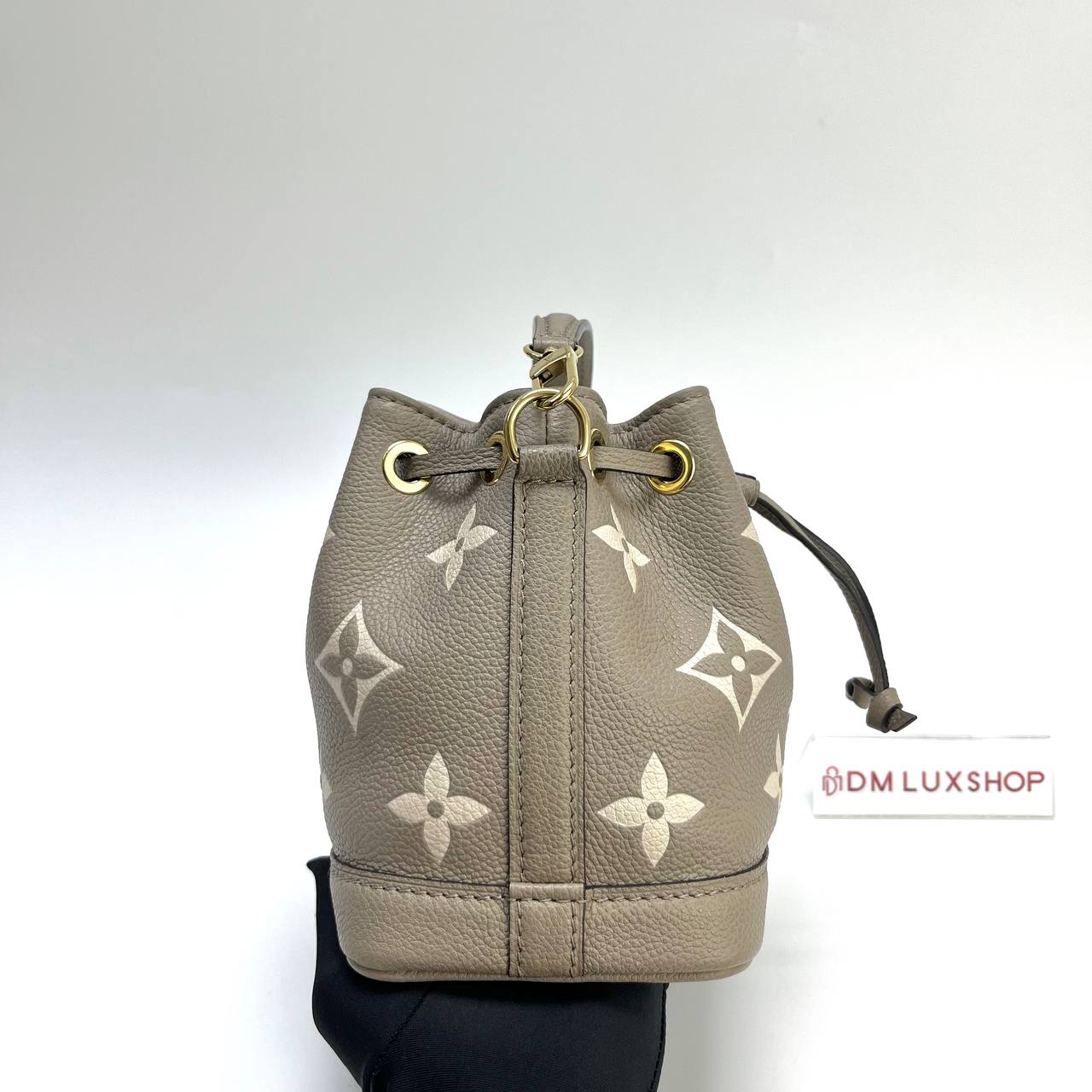 LV Bicolour Nano Noe GHW