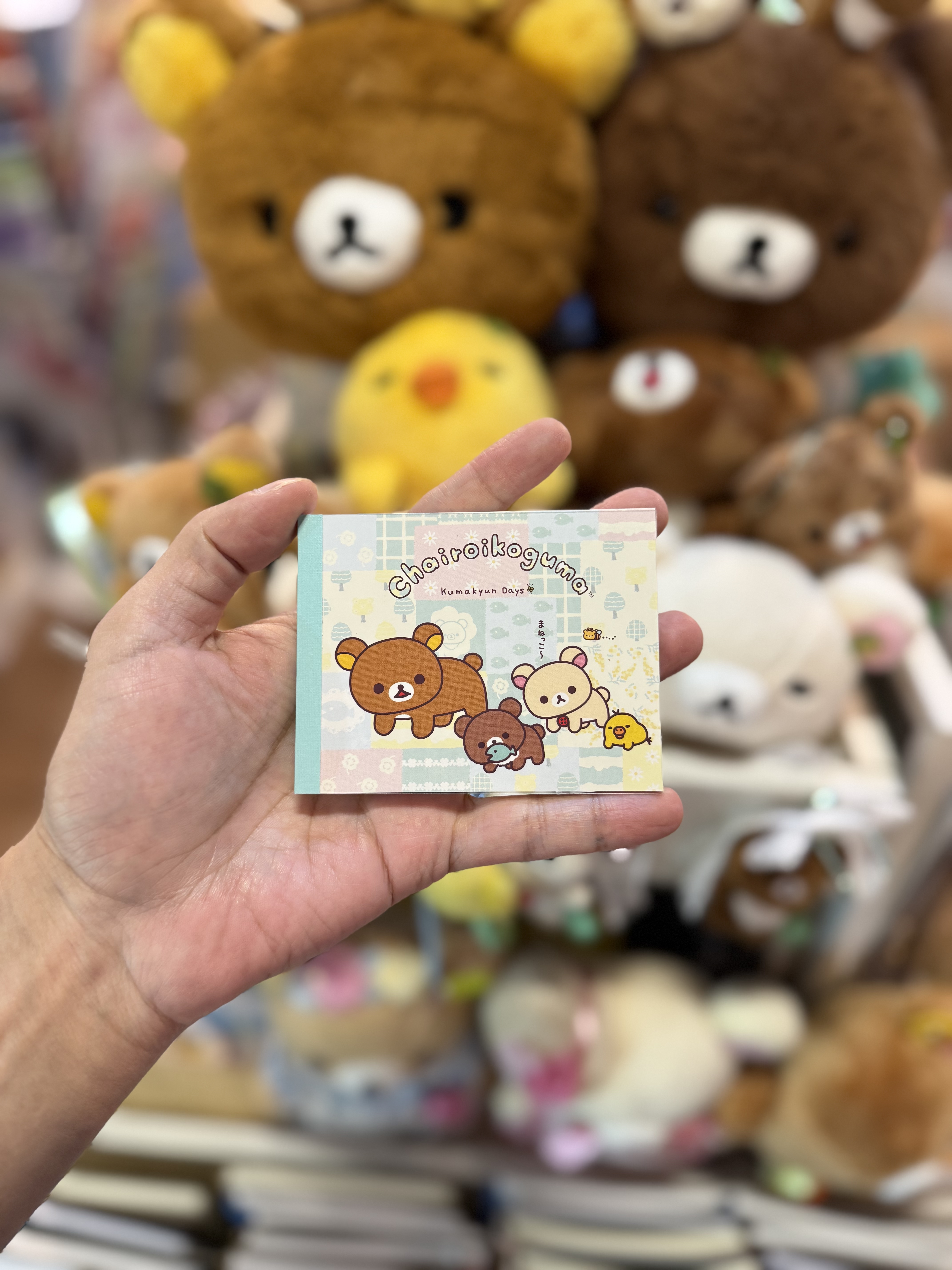 《現貨》全新小熊10週年紀念四葉草系列細memo