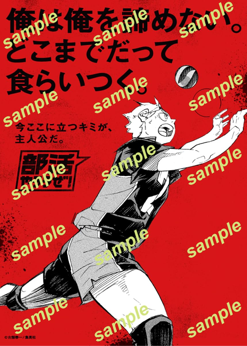 排球少年部活文件夾SET｜Sportiva 部活特集號