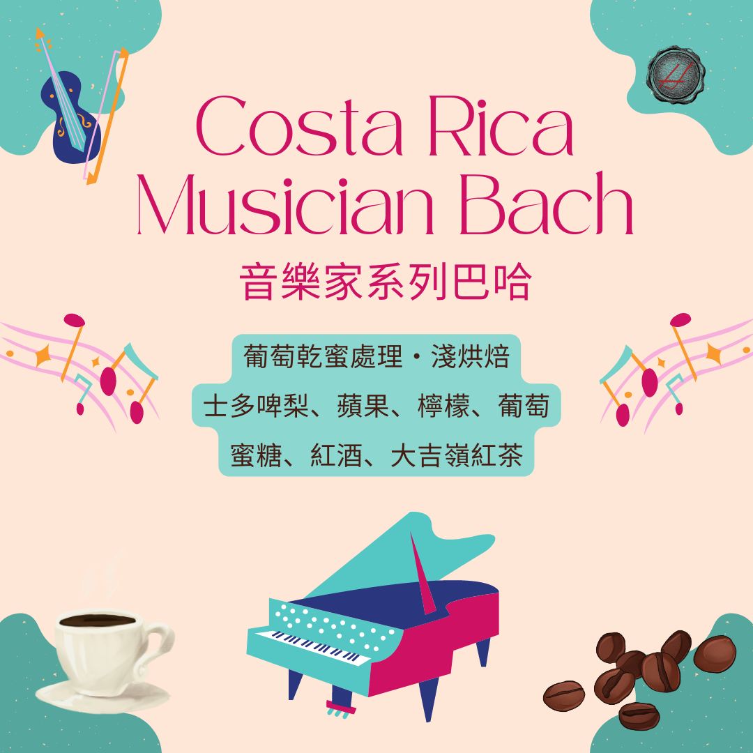 Musician 音樂家 海頓 巴哈