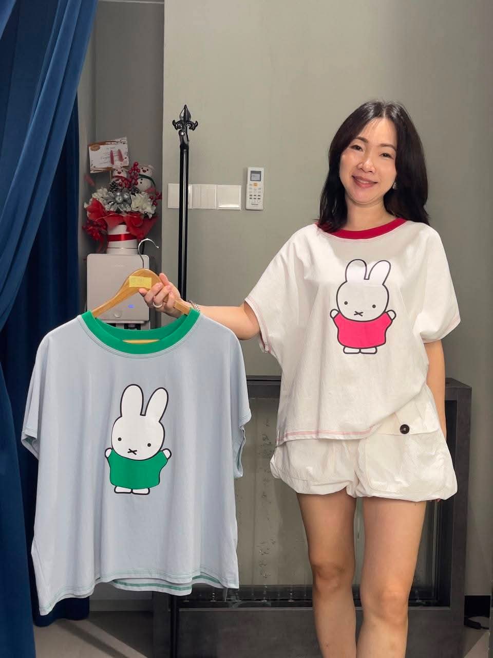 WE2161