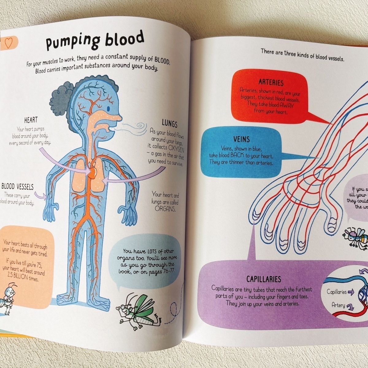 All You Need to Know about Your Body by Age 7 