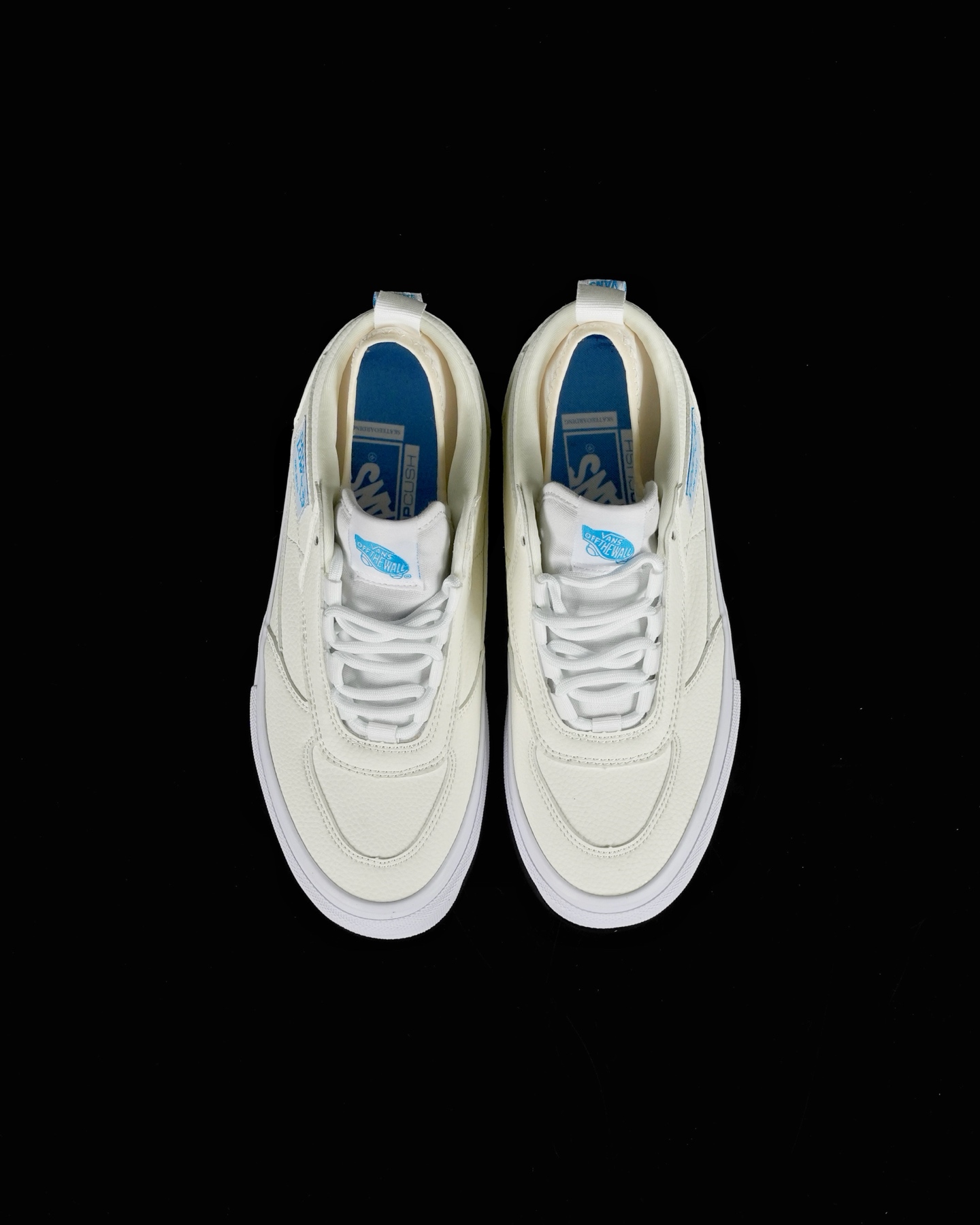 Vans Skate Safe Low