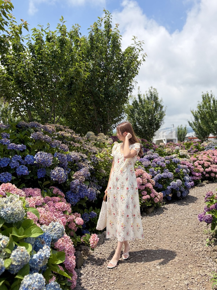 Premium Embroidered Floral Dress