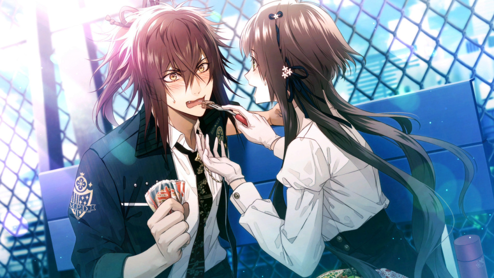 [現貨][乙女] NS Collar×Malice -Unlimited- 中文版