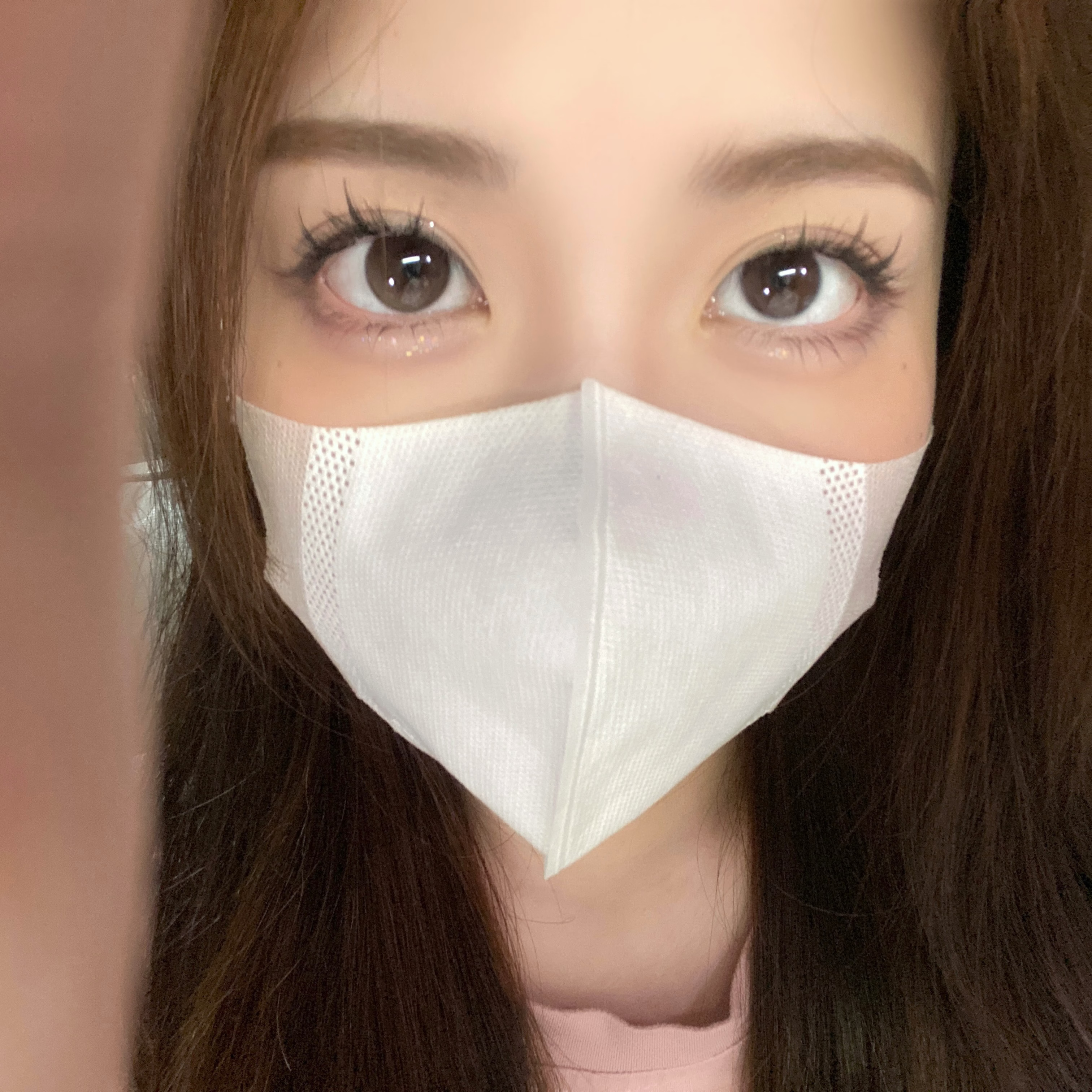 Kaylens 半年拋 月神閃蝶/星褐閃碟/紫晶閃蝶