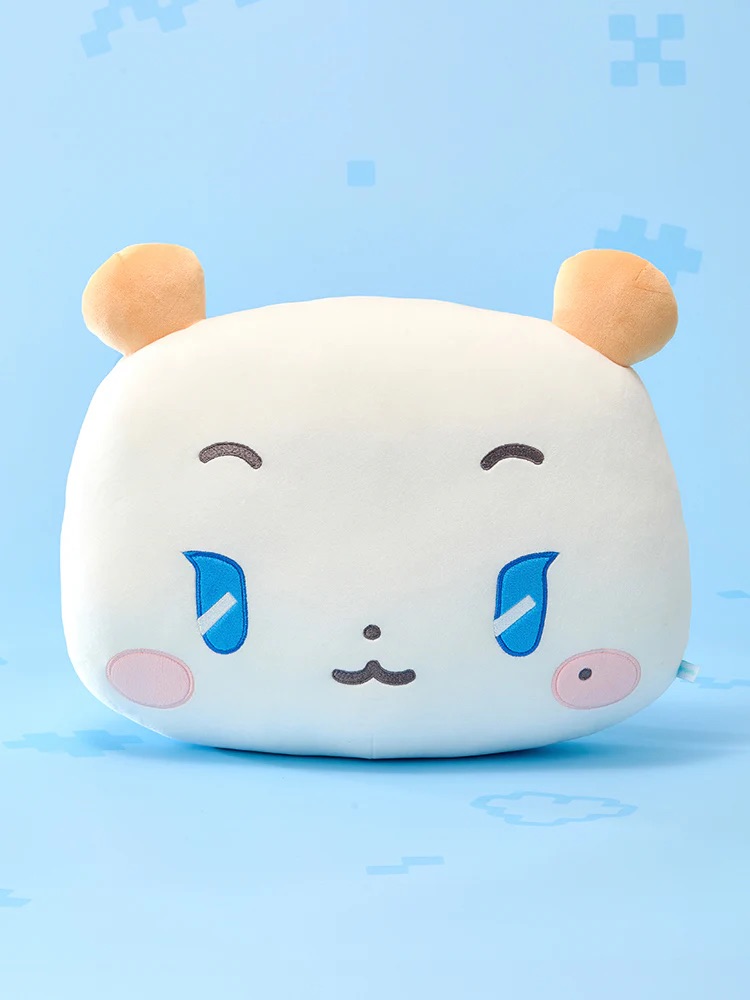 📦訂購 韓國代購 Line Friends PLAVE MMMM BIG MOCHI FACE CUSHION 